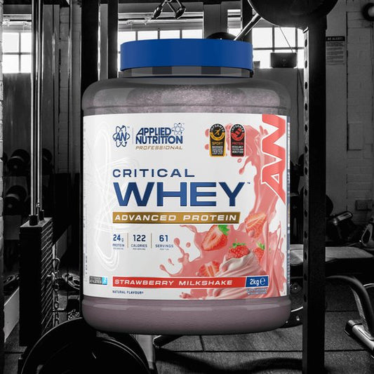 Wholesale Protein Powder in Europe: A Guide for Retailers and Online Stores